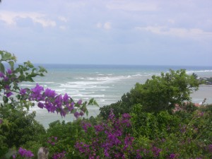 View of Honduras' waters through hilltop flowers