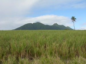 View of the volcanic peaks.