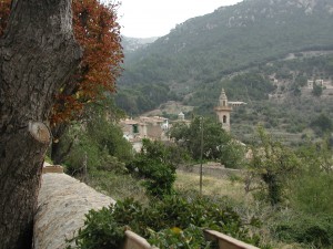 Contest Photo 1/4/13 - Valldemossa