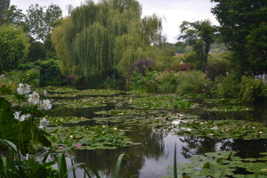 Giverny - Waterlilies